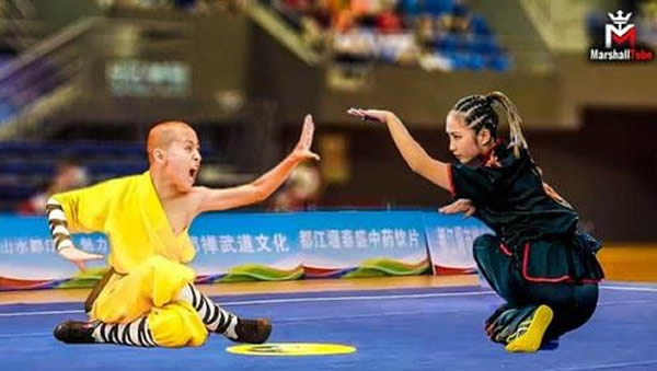 心意把 易筋经
