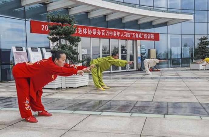 心意把 易筋经
